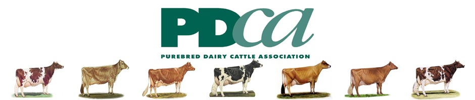 Purebred Dairy Cattle Association